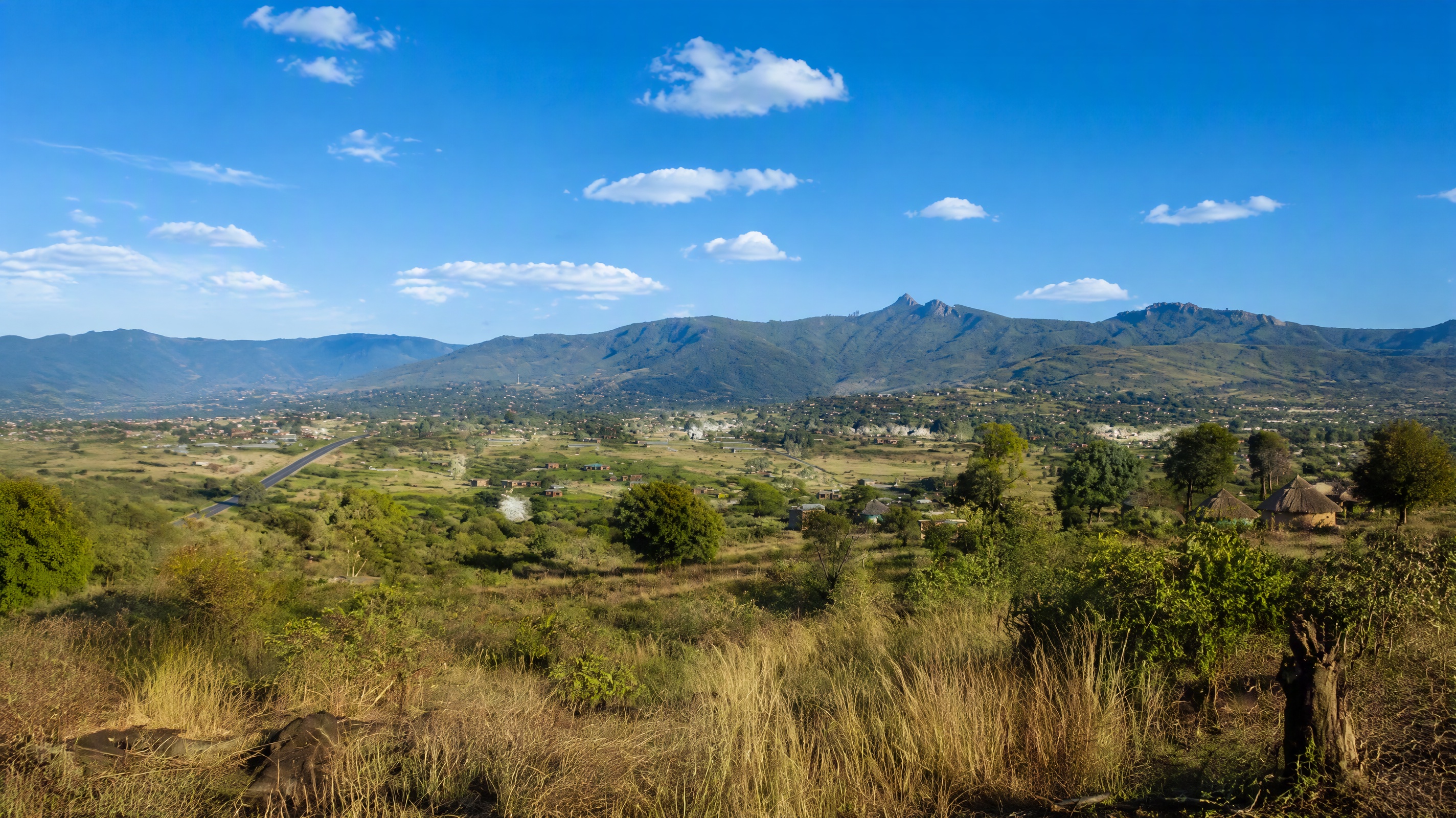 Green landscape near Bungeni in Limpopo
